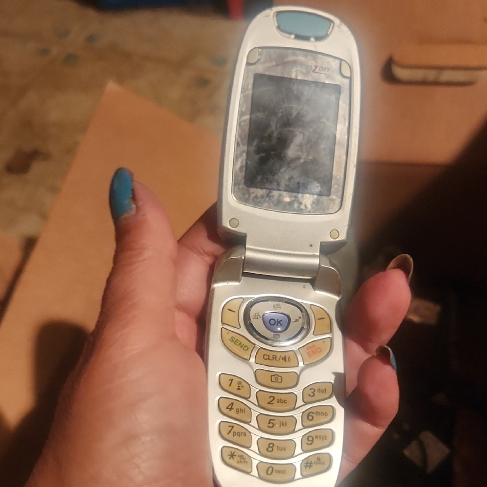 Silver Flip Phone